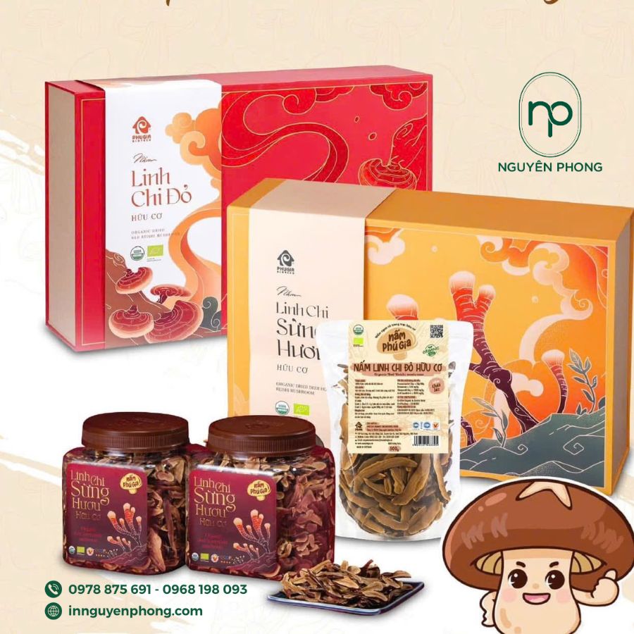 in-hop-giay-dung-linh-chi-gia-re-tai-ha-noi